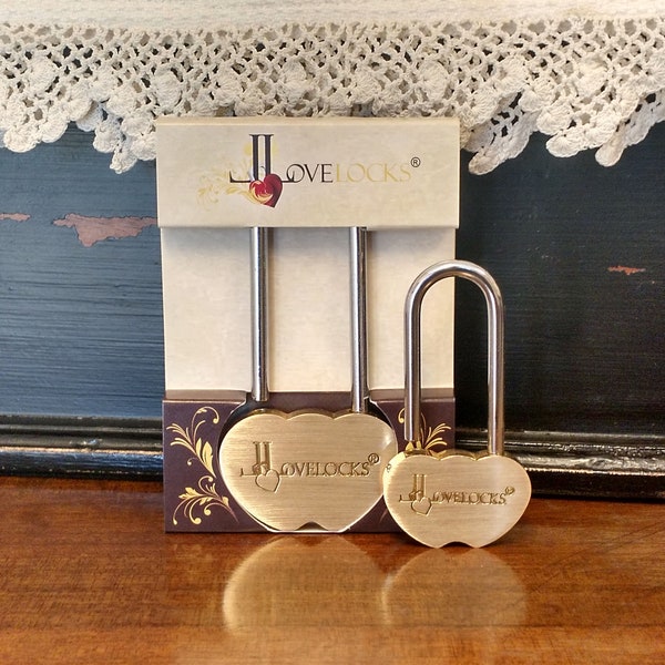 LoveLocks Petite Solid Brass Love Lock Double Heart Padlock, Wedding Padlock, Love Padlock, Wish Lock, Engraved Padlock, Wedding Lock