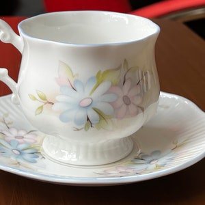 1 vintage royal devon kop en schotel fijne porseleinen kop en schotel (demitasse) espressokop