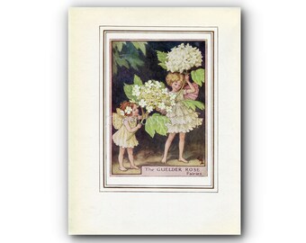 Guelder Rose Flower Fairy 1950's Vintage Print Cicely Barker Trees Book Plate T020