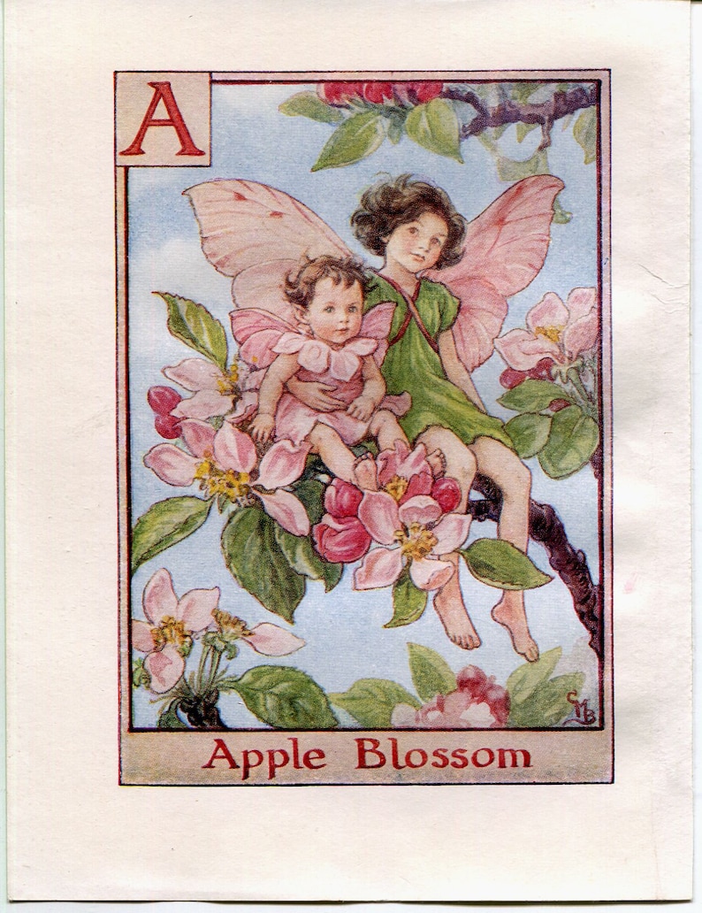 apple blossom alphabet letter a flower fairy vintage print