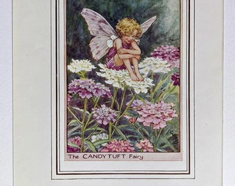 Candytuft Flower Fairy, Vintage Print 1950's Cicely Mary Barker, Garden Fairy, Book Plate, Nursery Decor, Wall Art, Decoration.