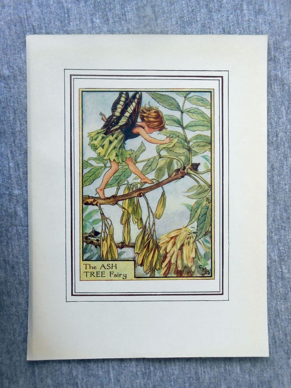 Frêne Arbre Fleur Fée Vintage Dimpression C1950 Cicely Mary Barker Livre Plaque Illustration