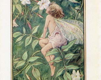 Jasmine Flower Fairy Vintage Print c.1940 Cicely Mary Barker, Alphabet Letter J, Book Plate, Nursery Decor, Wall Art, Decoration.