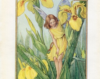 Iris Alphabet Letter I Flower Fairy Vintage Print, c.1940 Cicely Mary Barker Book Plate Illustration