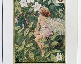 Jasmine Flower Fairy Vintage Print c.1940 Cicely Mary Barker, Alphabet Letter J, Book Plate, Nursery Decor