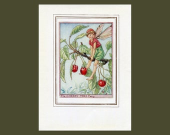 Cherry Tree Flower Fairy 1950's Vintage Print Cicely Barker Trees Book Plate T032
