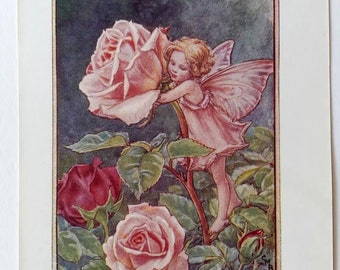 Rose Flower Fairy Vintage Print, c.1950 Cicely Mary Barker Book Plate Illustration