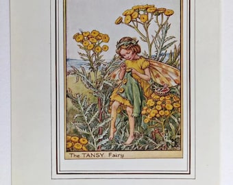 Tansy Flower Fairy 1950's Vintage Print Cicely Barker Wayside Book Plate