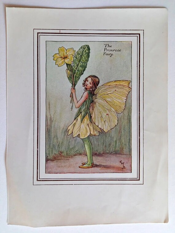 Flower Fairy Books  Cicely Mary Barker Fairy Books