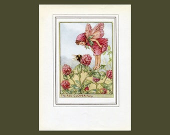 Red Clover Flower Fairy 1950's Vintage Print Cicely Barker Wayside Book Plate W030