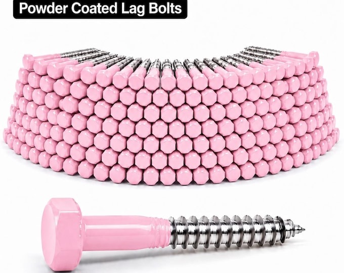 Pastel RAL Lag Screws, Custom Powder Coated Hex Head Bolts, Matching Hardware, 100 PCS