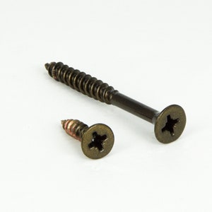 May include: Two brass screws with Phillips head slots. The larger screw is longer and has a more pronounced head.