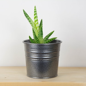 Plant Pot - Metal Planter - Antique Silver Color- Succulent Planter - Home Decor - Metal Plant Holder - Metal Bucket - Powder Coated