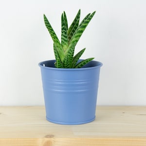 Plant Pot - Metal Plant Pot - Sand Textured Blue Color - Plant Holder - Home Decor - Metal Planter - Metal Bucket