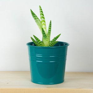 Plant Pot - Metal Plant Pot - Turquoise Color - Plant Holder - Home Decor - Metal Planter - Metal Bucket