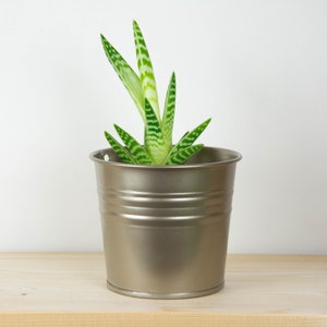 Plant Pot - Metal Plant Pot - Platinum Color - Plant Holder - Home Decor - Metal Planter - Metal Bucket