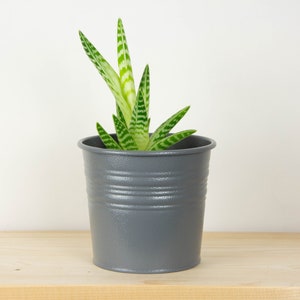 Plant Pot Metal Plant Pot Grey Textured Color Plant Holder Home Decor Metal Planter Metal Bucket Grey (Textured)