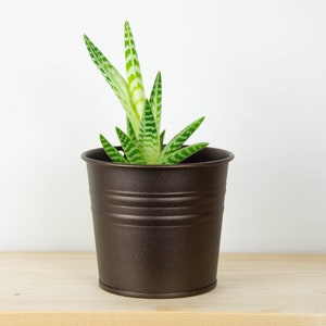 Plant Pot - Metal Plant Pot - Sand Textured Bronze Color - Plant Holder - Home Decor - Metal Planter - Metal Bucket