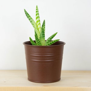 Plant Pot - Metal Plant Pot - Rust Effect Color - Plant Holder - Home Decor - Metal Planter - Metal Bucket
