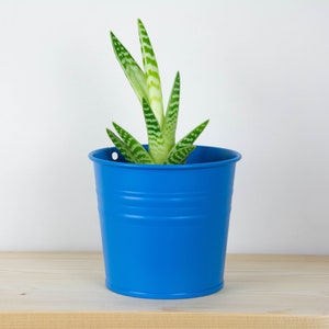 Plant Pot - Metal Plant Pot - Blue Matte Color - Plant Holder - Home Decor - Metal Planter - Metal Bucket