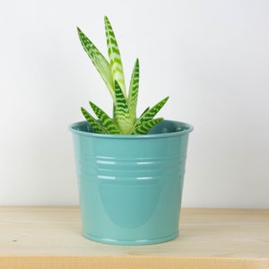 Plant Pot - Metal Plant Pot - Metallic Pastel Blue Color - Plant Holder - Home Decor - Metal Planter - Metal Bucket