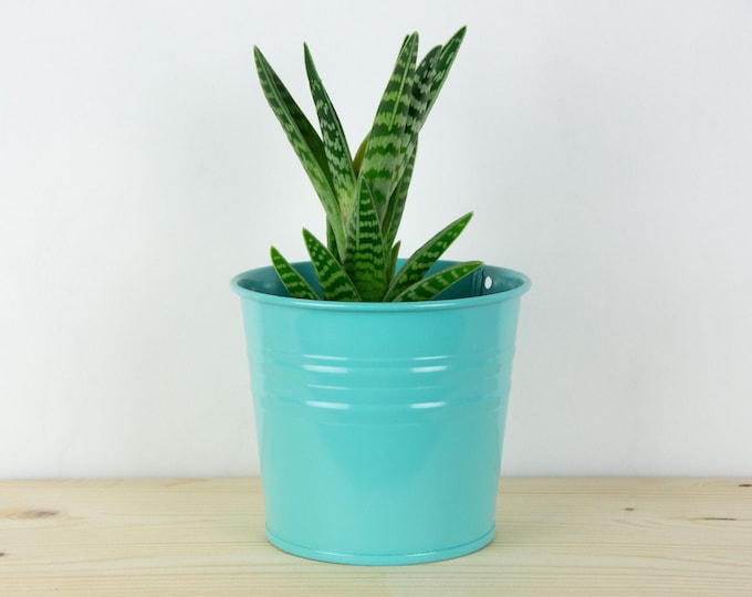 Plant Pot - Metal Plant Pot - Light Blue Color - Plant Holder - Home Decor - Metal Planter - Metal Bucket