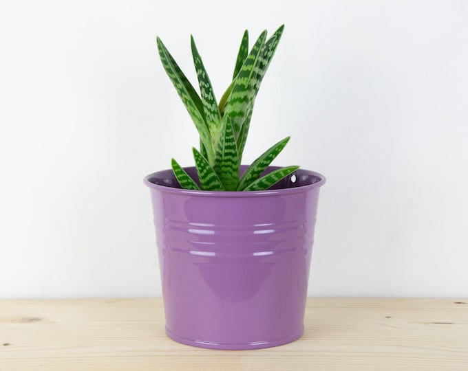 Metal Plant Pot - Violet Color - Metal Planter - Succulent Planter - Home Decor - Plant Holder - Metal Bucket