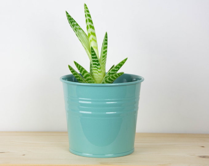 Plant Pot - Metal Plant Pot - Metallic Pastel Blue Color - Plant Holder - Home Decor - Metal Planter - Metal Bucket