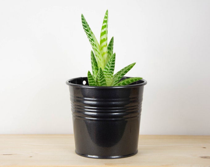 Plant Pot - Metal Plant Pot - Gun Metal Color - Plant Holder - Home Decor - Metal Planter - Metal Bucket