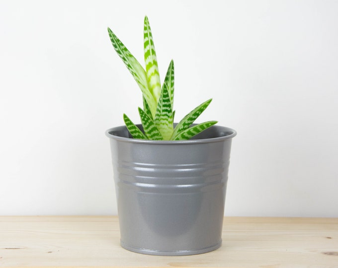 Metal Plant Pot - Dark Gray Metallic Color - Metal Planter - Succulent Planter - Home Decor - Plant Holder - Metal Bucket