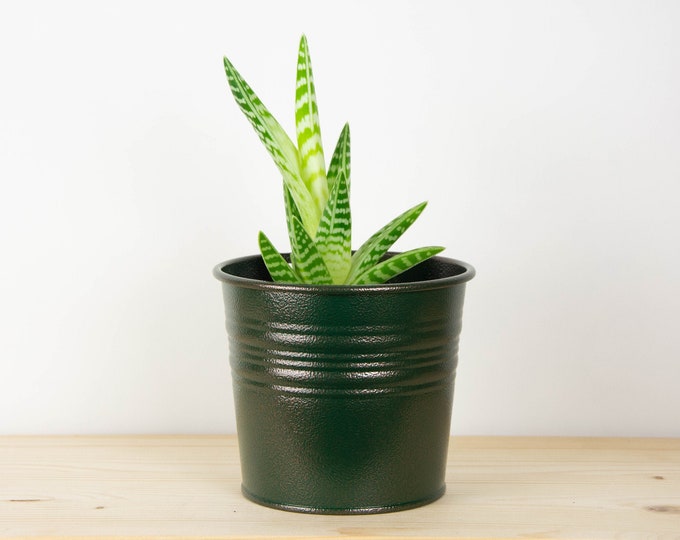 Metal Plant Pot - Antique Green Copper - Metal Planter - Succulent Planter - Home Decor - Plant Holder - Metal Bucket