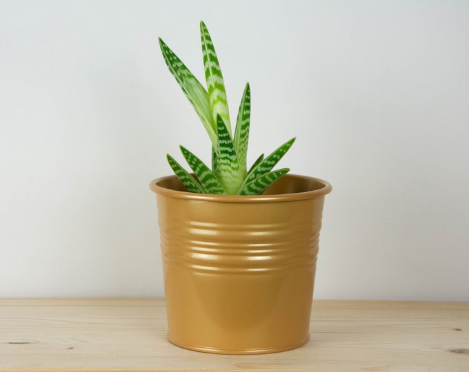 Plant Pot - Metal Plant Pot - Gold Pearl Color - Plant Holder - Home Decor - Metal Planter - Metal Bucket
