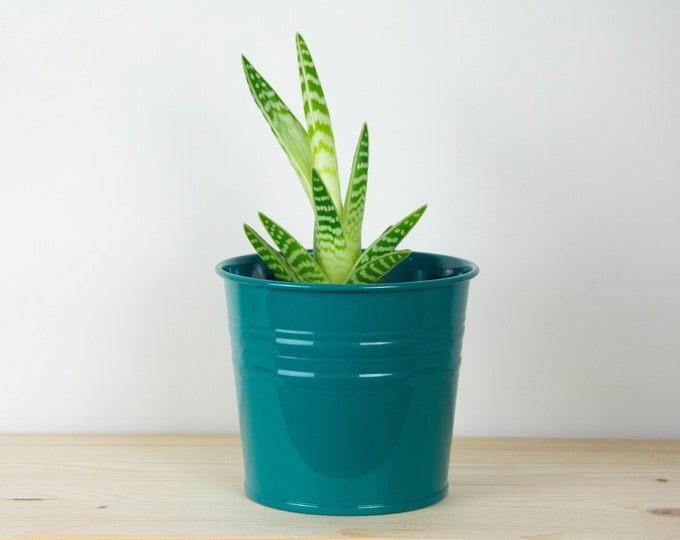 Plant Pot - Metal Plant Pot - Turquoise Color - Plant Holder - Home Decor - Metal Planter - Metal Bucket