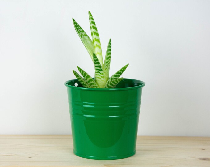 Metal Plant Pot - Dark Green Gloss Color - Metal Planter - Succulent Planter - Home Decor - Plant Holder - Metal Bucket