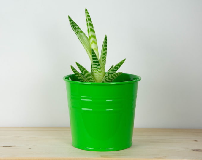 Metal Plant Pot - Green Gloss Color - Metal Planter - Succulent Planter - Home Decor - Plant Holder - Metal Bucket