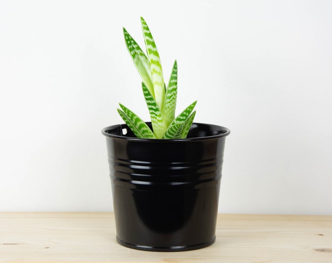 Metal Plant Pot - Black Matte Color - Metal Planter - Succulent Planter - Home Decor - Plant Holder - Metal Bucket