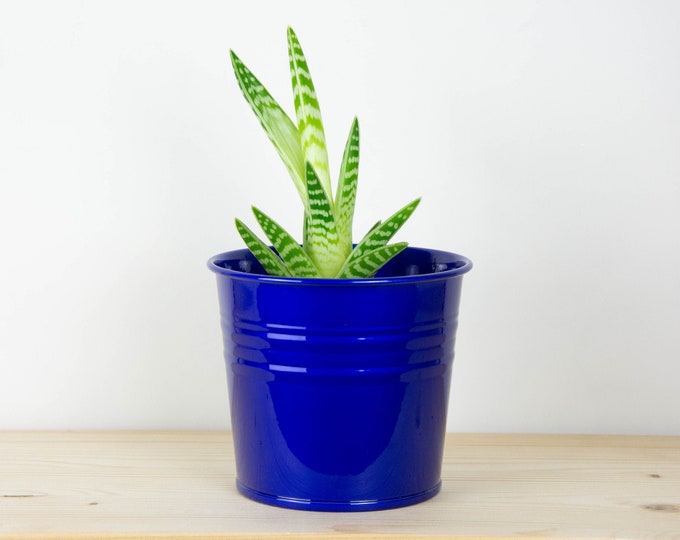 Metal Plant Pot - Candy Blue Color - Metal Planter - Succulent Planter - Home Decor - Plant Holder - Metal Bucket