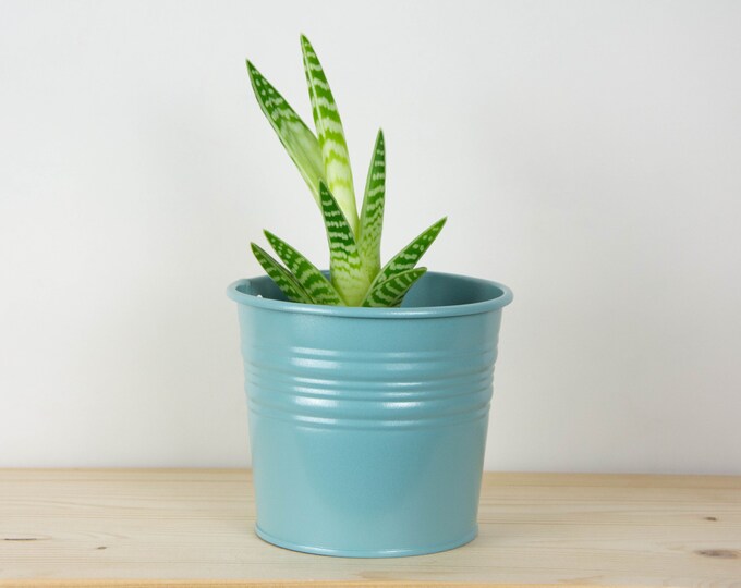 Plant Pot - Metal Plant Pot - Pearl Pastel Blue Color - Plant Holder - Home Decor - Metal Planter - Metal Bucket