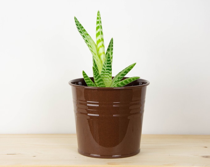 Plant Pot - Metal Plant Pot - Chocolate Gloss Color - Plant Holder - Home Decor - Metal Planter - Metal Bucket