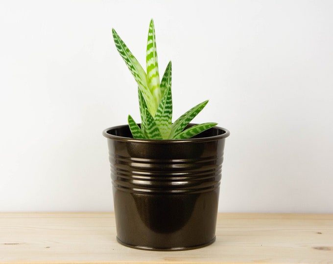 Plant Pot - Metal Plant Pot - Oil Rubbed Bronze Color - Plant Holder - Home Decor - Metal Planter - Metal Bucket