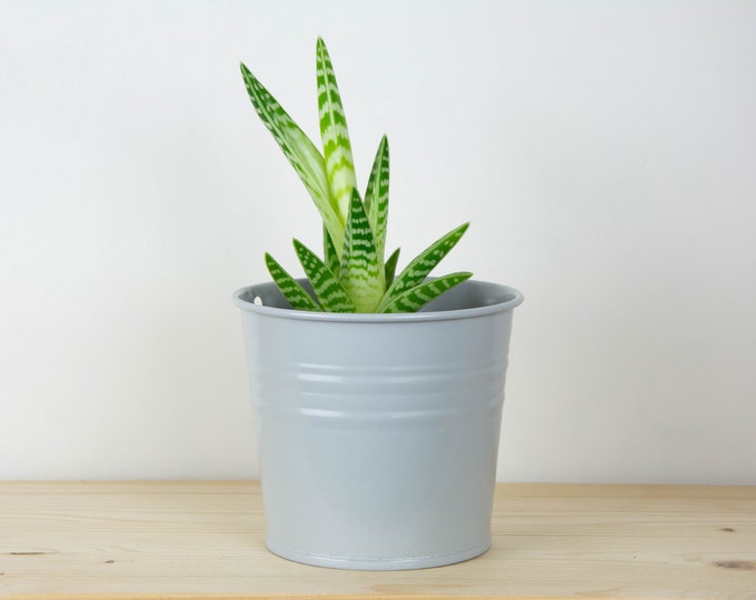 Metal Plant Pot - Light Gray Metallic Color - Metal Planter - Succulent Planter - Home Decor - Plant Holder - Metal Bucket