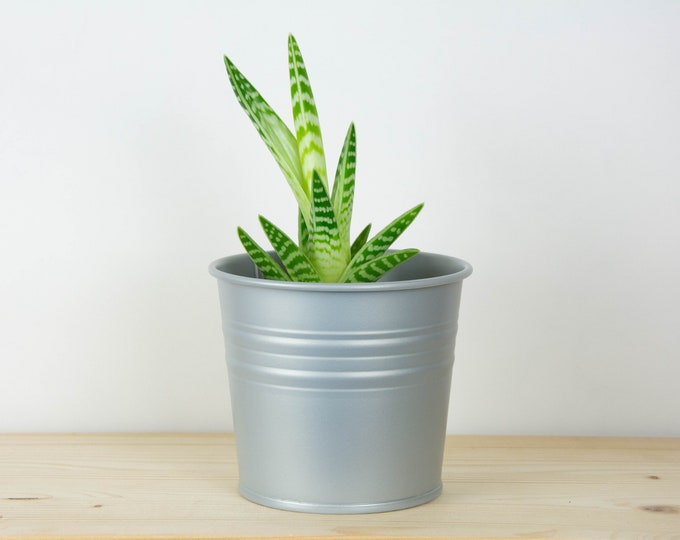 Plant Pot - Metal Plant Pot - Aluminium Matte Color - Plant Holder - Home Decor - Metal Planter - Metal Bucket