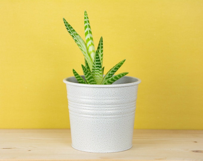 Plant Pot - Metal Plant Pot - Antique White Gold Color - Plant Holder - Home Decor - Metal Planter - Metal Bucket