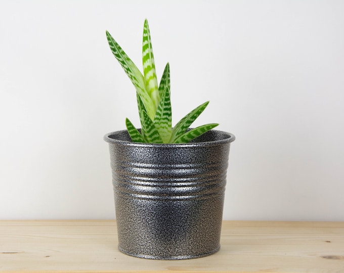 Plant Pot - Metal Planter - Antique Silver Color- Succulent Planter - Home Decor - Metal Plant Holder - Metal Bucket - Powder Coated