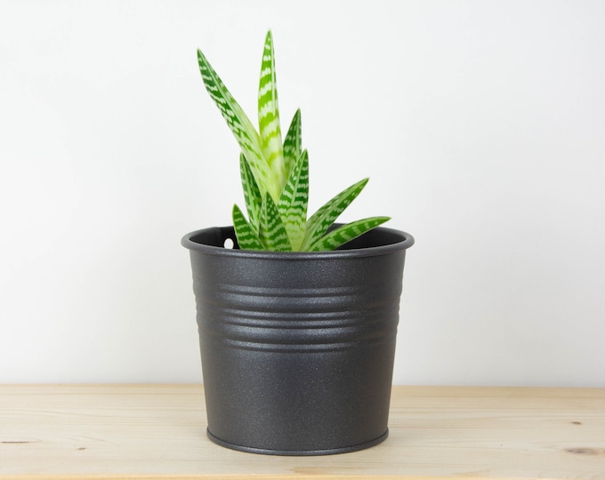 Plant Pot - Metal Plant Pot - Sand Textured Gray Color - Plant Holder - Home Decor - Metal Planter - Metal Bucket