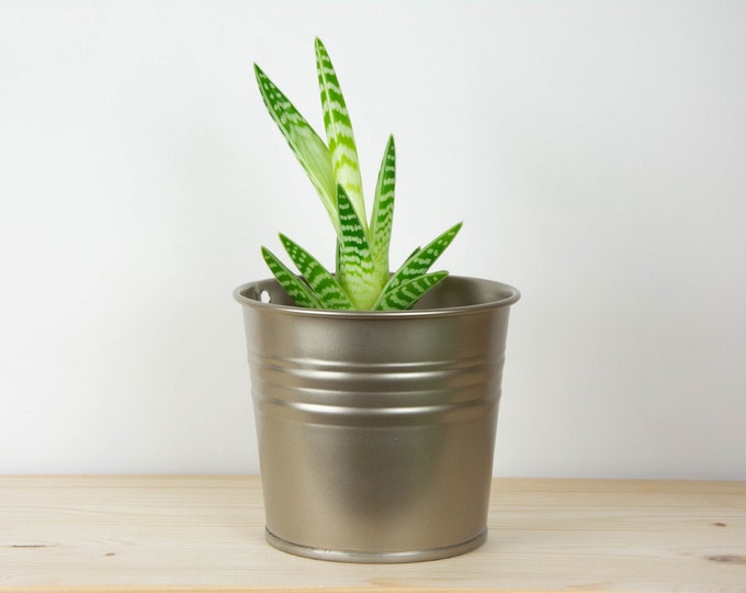 Plant Pot - Metal Plant Pot - Platinum Color - Plant Holder - Home Decor - Metal Planter - Metal Bucket