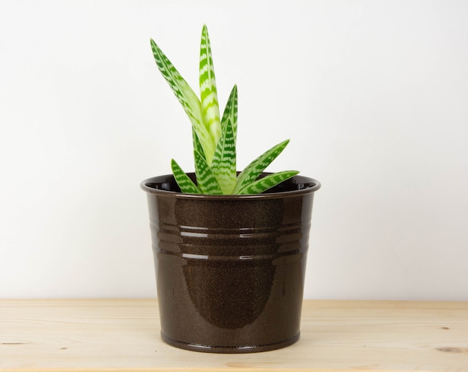Metal Plant Pot - Dark Bronze Metallic Color - Metal Planter - Succulent Planter - Home Decor - Plant Holder - Metal Bucket