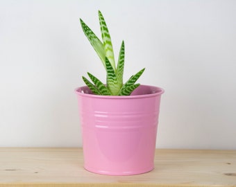 Metal Plant Pot - Pastel Pink Color - Metal Planter - Succulent Planter - Home Decor - Plant Holder - Metal Bucket