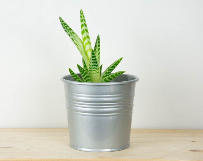 Metal Plant Pot - Aluminium Gloss Color - Metal Planter - Succulent Planter - Home Decor - Plant Holder - Metal Bucket