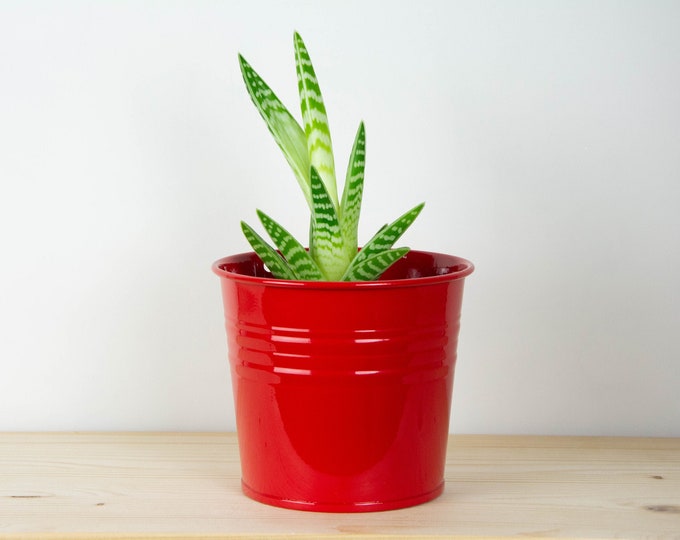 Metal Plant Pot - Red Gloss Color - Metal Planter - Succulent Planter - Home Decor - Plant Holder - Metal Bucket